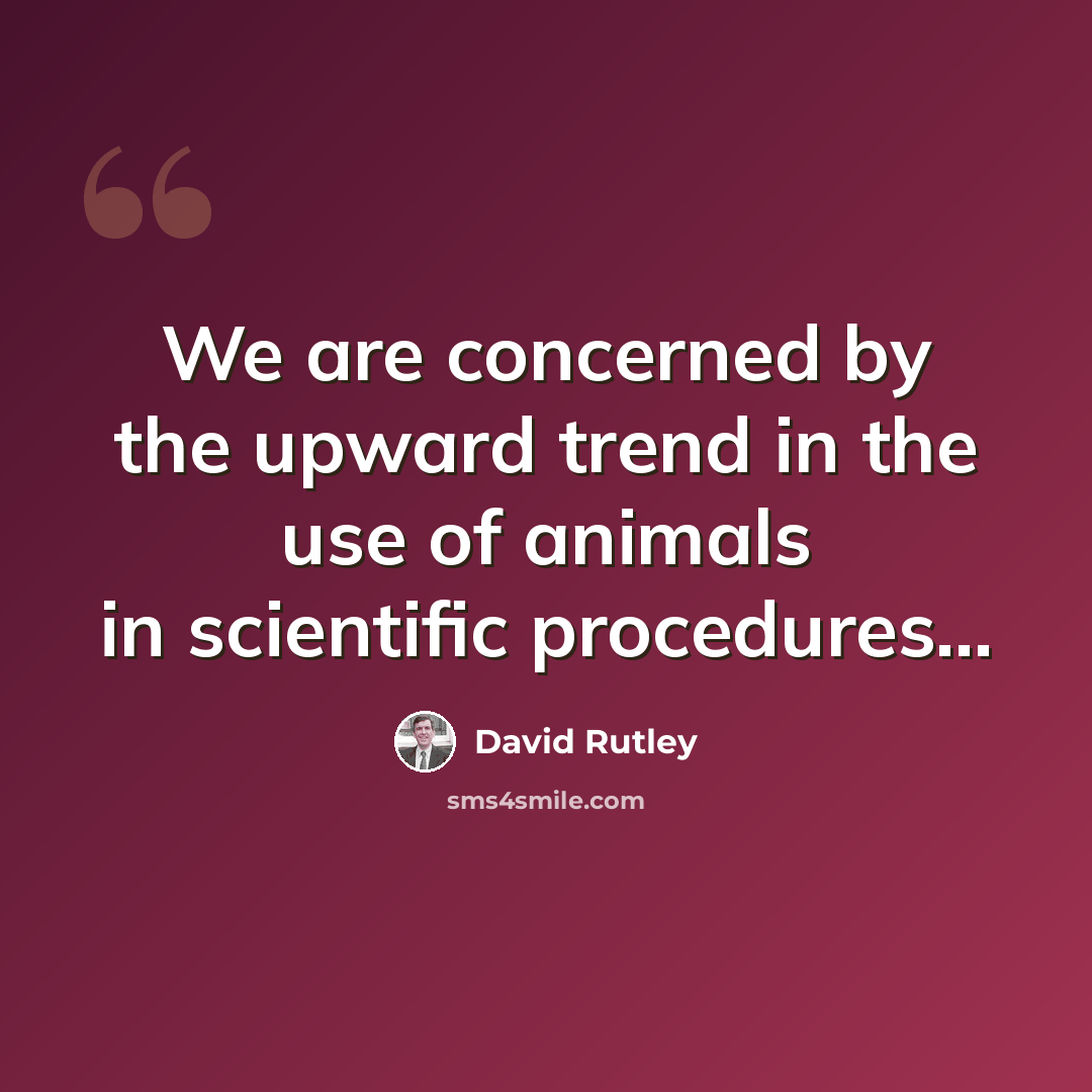 “We are concerned by the upward trend in the use of animals in scientific procedures...” quote by David Rutley