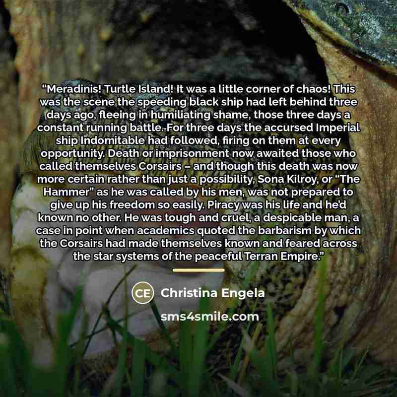 “Meradinis! Turtle Island! It was a little corner of chaos! This was the scene the speeding black ship had left behind three days ago, fleeing in humiliating shame, those three days a constant running battle. For three days the accursed Imperial ship Indomitable had followed, firing on them at…” quote by Christina Engela