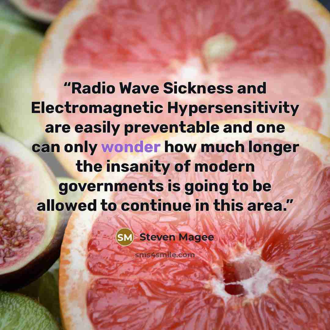 “Radio Wave Sickness and Electromagnetic Hypersensitivity are easily preventable and one can only wonder how much longer the insanity of modern governments is going to be allowed to continue in this area.” quote by Steven Magee