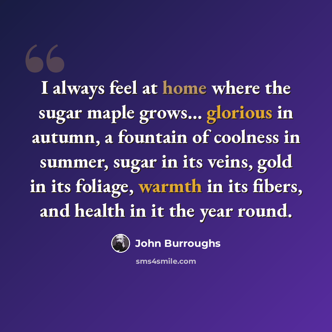 “I always feel at home where the sugar maple grows… glorious in autumn, a fountain of coolness in summer, sugar in its veins, gold in its foliage, warmth in its fibers, and health in it the year round.” quote by John Burroughs
