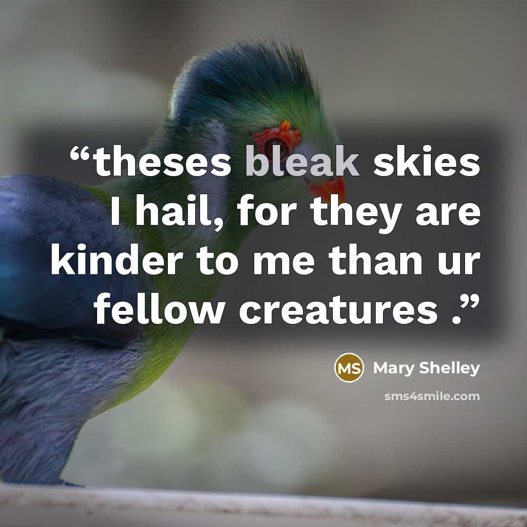 “theses bleak skies I hail, for they are kinder to me than ur fellow creatures .” quote by Mary Shelley