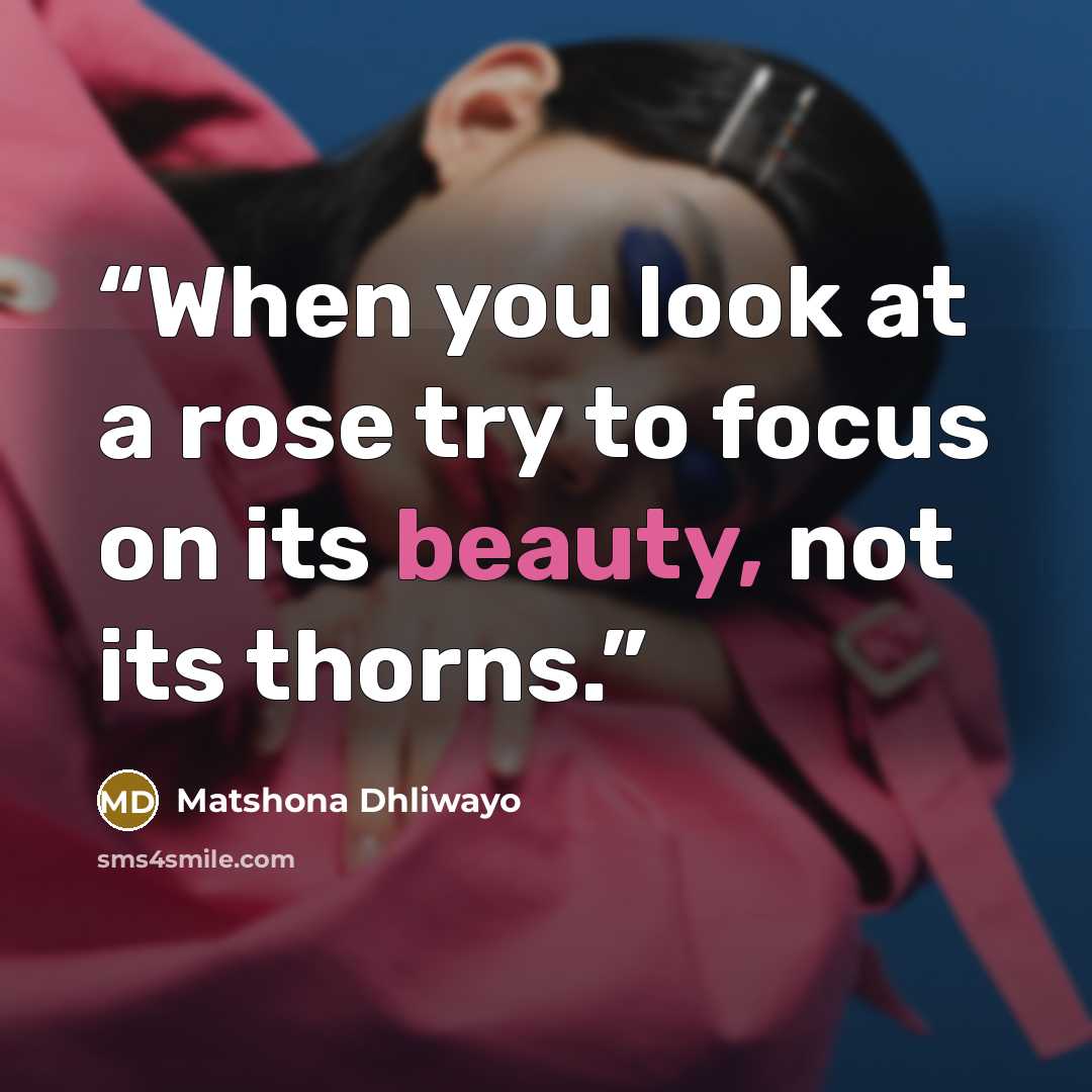“When you look at a rose try to focus on its beauty, not its thorns.” quote by Matshona Dhliwayo