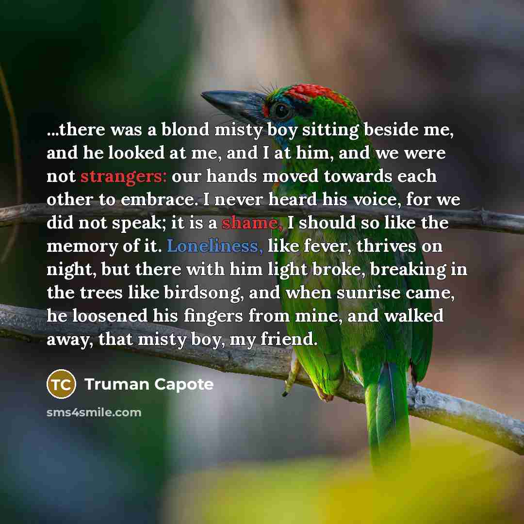 “...there was a blond misty boy sitting beside me, and he looked at me, and I at him, and we were not strangers: our hands moved towards each other to embrace. I never heard his voice, for we did not speak; it is a shame, I should so like the memory of it. Loneliness, like fever, thrives on night…” quote by Truman Capote