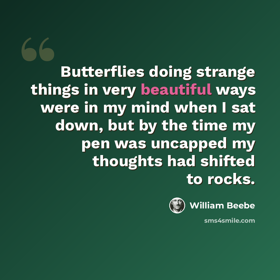 “Butterflies doing strange things in very beautiful ways were in my mind when I sat down, but by the time my pen was uncapped my thoughts had shifted to rocks.” quote by William Beebe