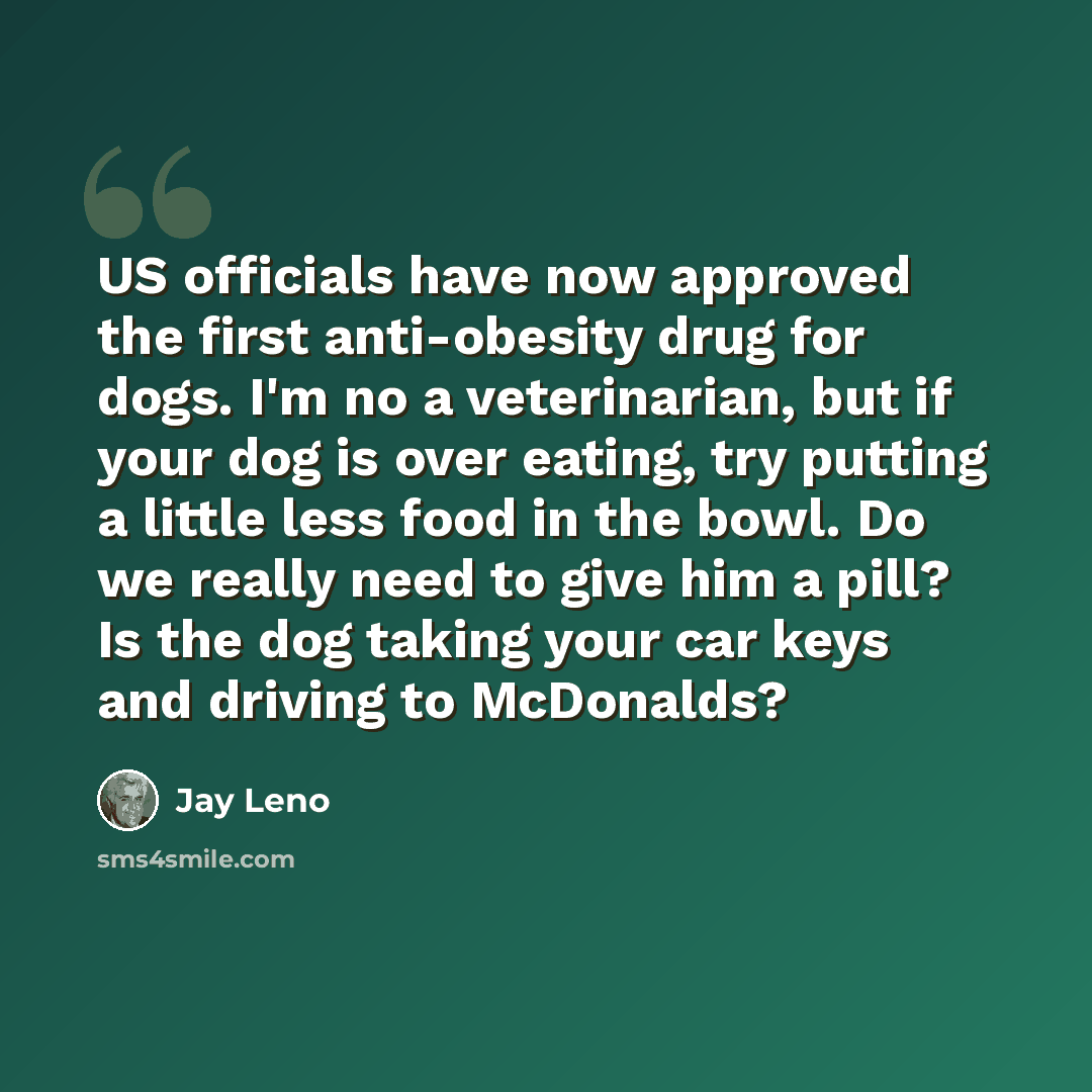 “US officials have now approved the first anti-obesity drug for dogs. I'm no a veterinarian, but if your dog is over eating, try putting a little less food in the bowl. Do we really need to give him a pill? Is the dog taking your car keys and driving to McDonalds?” quote by Jay Leno