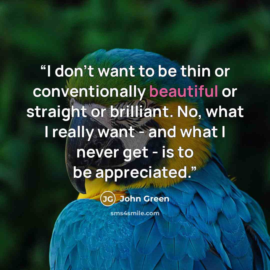 “I don't want to be thin or conventionally beautiful or straight or brilliant. No, what I really want - and what I never get - is to be appreciated.” quote by John Green