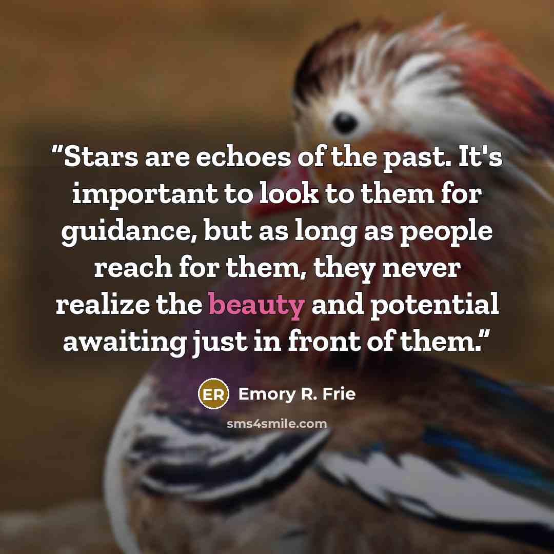 “Stars are echoes of the past. It's important to look to them for guidance, but as long as people reach for them, they never realize the beauty and potential awaiting just in front of them.” quote by Emory R. Frie