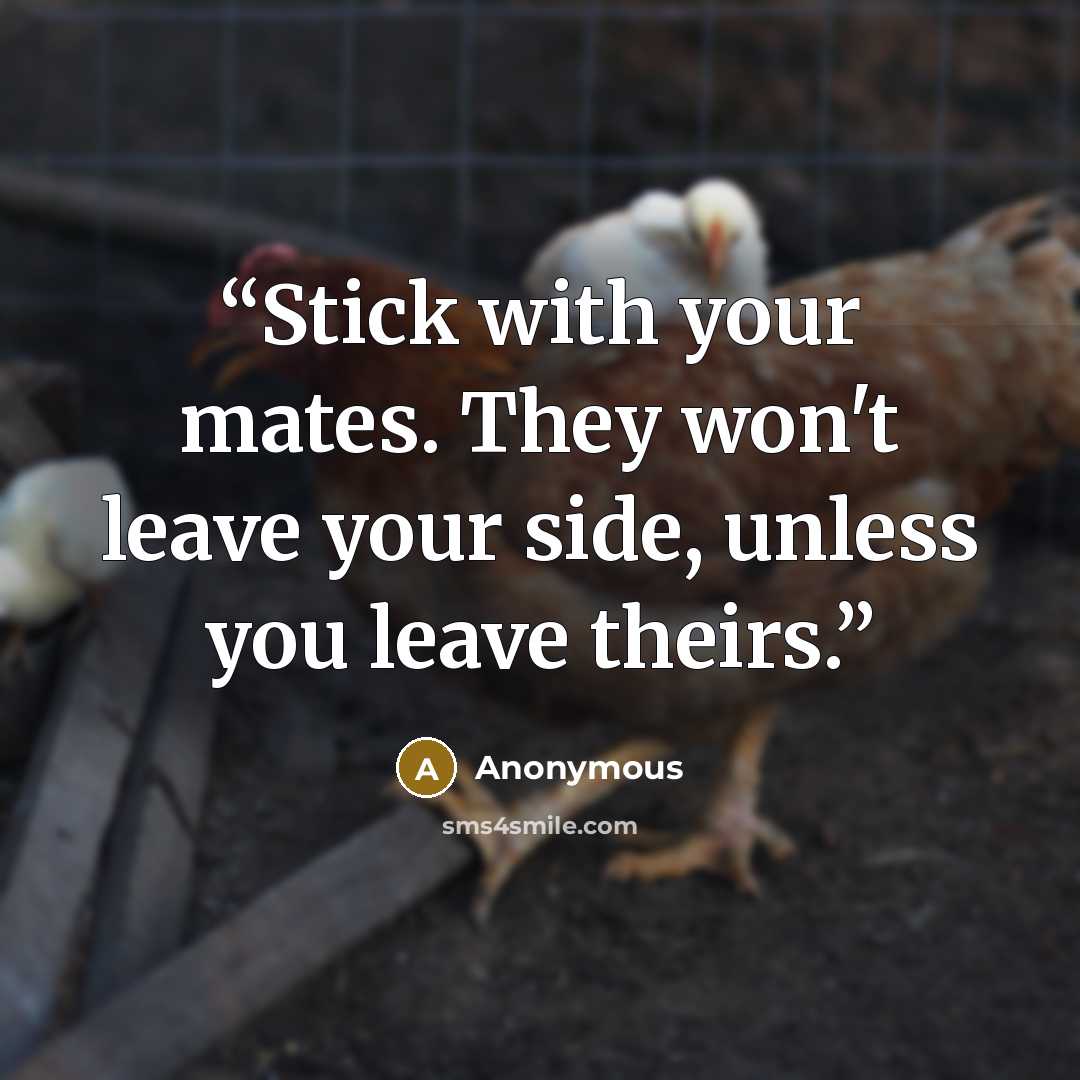 “Stick with your mates. They won't leave your side, unless you leave theirs.” quote by Anonymous