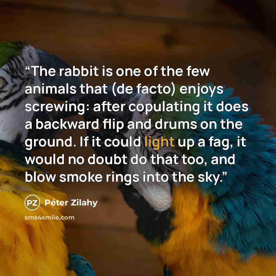 “The rabbit is one of the few animals that (de facto) enjoys screwing: after copulating it does a backward flip and drums on the ground. If it could light up a fag, it would no doubt do that too, and blow smoke rings into the sky.” quote by Péter Zilahy