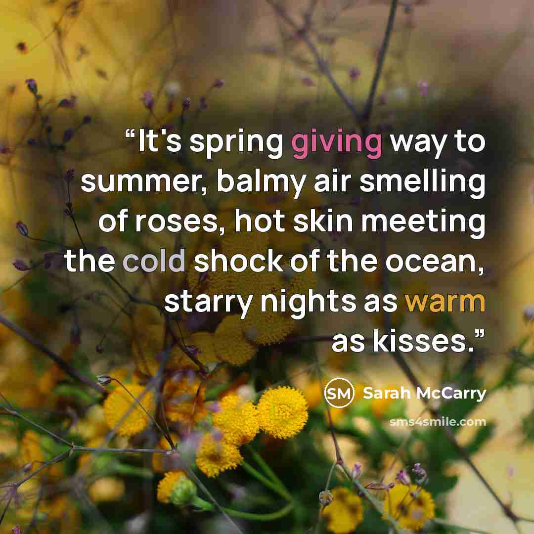 “It's spring giving way to summer, balmy air smelling of roses, hot skin meeting the cold shock of the ocean, starry nights as warm as kisses.” quote by Sarah McCarry