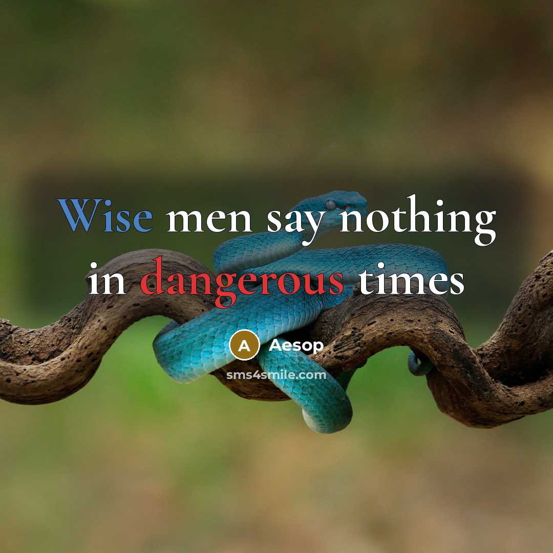 “Wise men say nothing in dangerous times” quote by Aesop