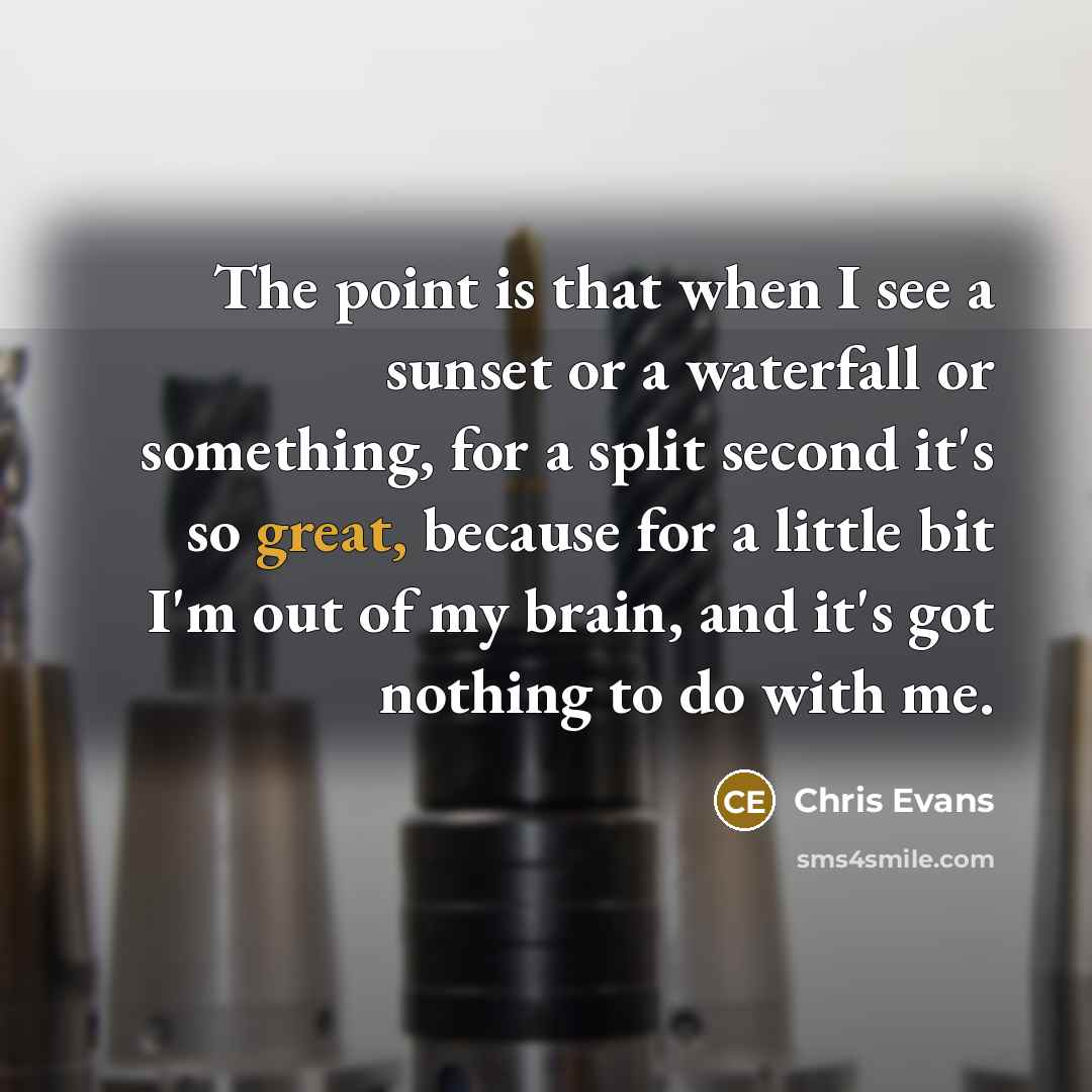 “The point is that when I see a sunset or a waterfall or something, for a split second it's so great, because for a little bit I'm out of my brain, and it's got nothing to do with me.” quote by Chris Evans