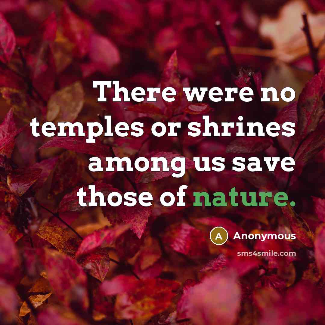 “There were no temples or shrines among us save those of nature.” quote by Anonymous
