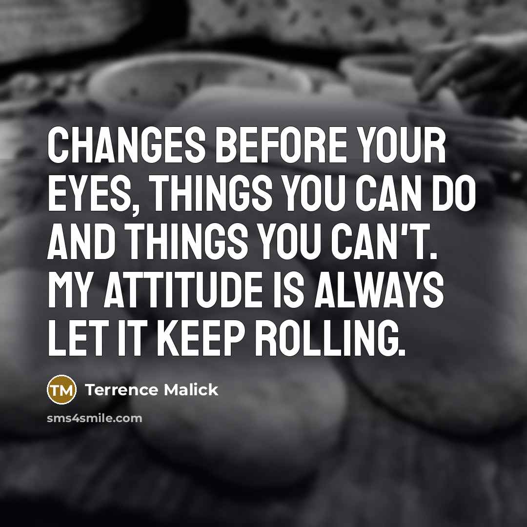 “Changes before your eyes, things you can do and things you can't. My attitude is always let it keep rolling.” quote by Terrence Malick