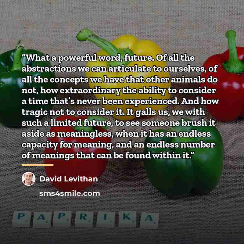 “What a powerful word, future. Of all the abstractions we can articulate to ourselves, of all the concepts we have that other animals do not, how extraordinary the ability to consider a time that’s never been experienced. And how tragic not to consider it. It galls us, we with such a limited…” quote by David Levithan
