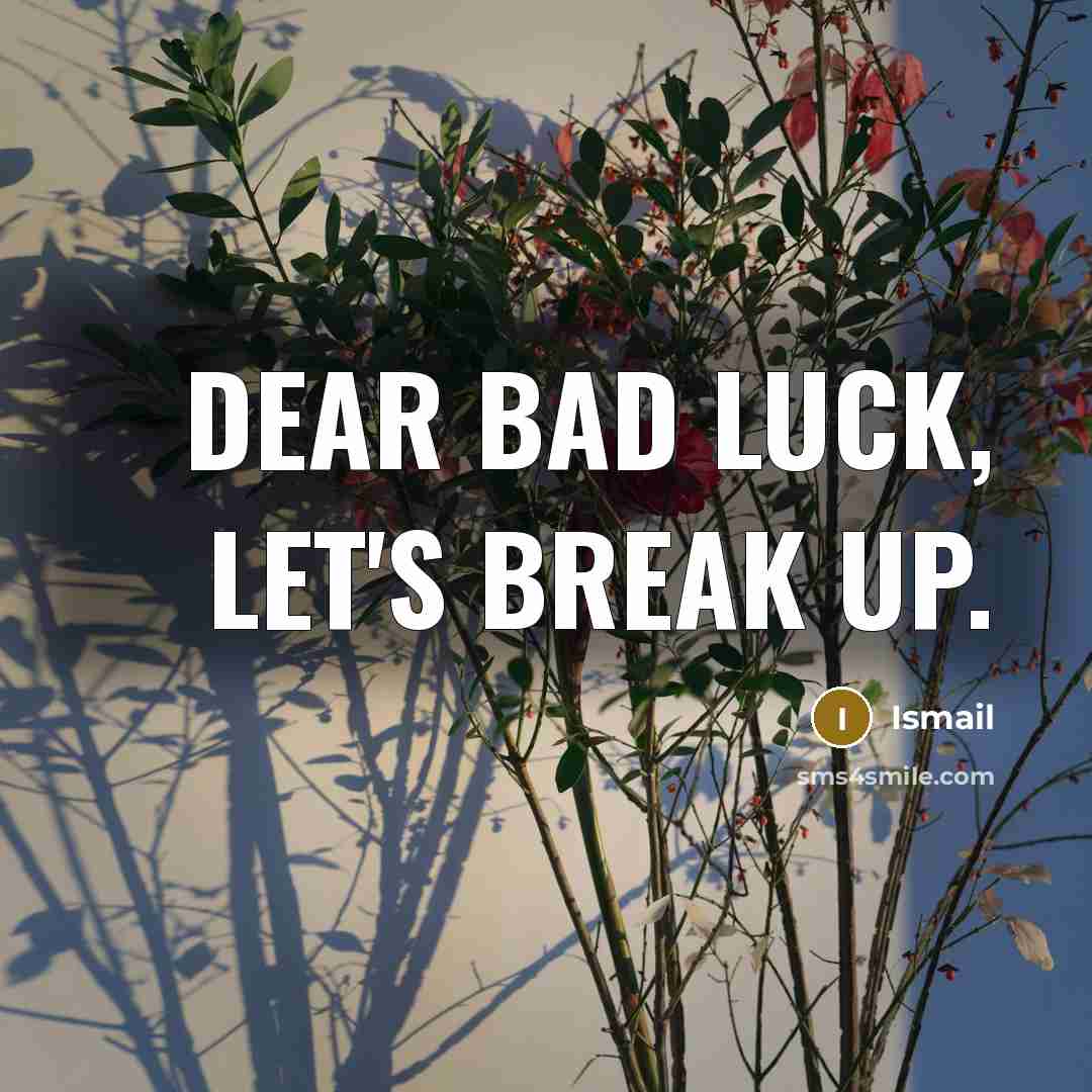 “Dear Bad Luck, Let's Break Up.” quote by Ismail