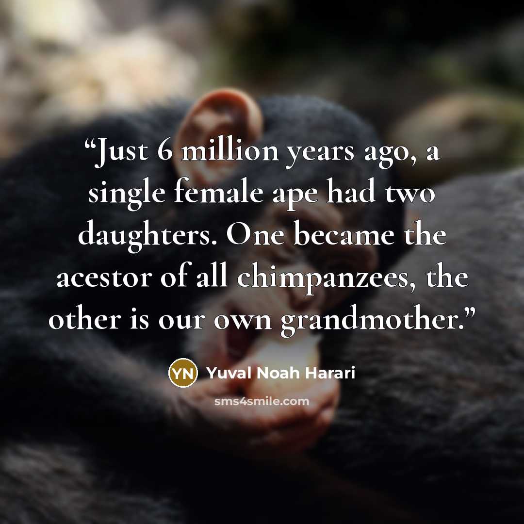 “Just 6 million years ago, a single female ape had two daughters. One became the acestor of all chimpanzees, the other is our own grandmother.” quote by Yuval Noah Harari