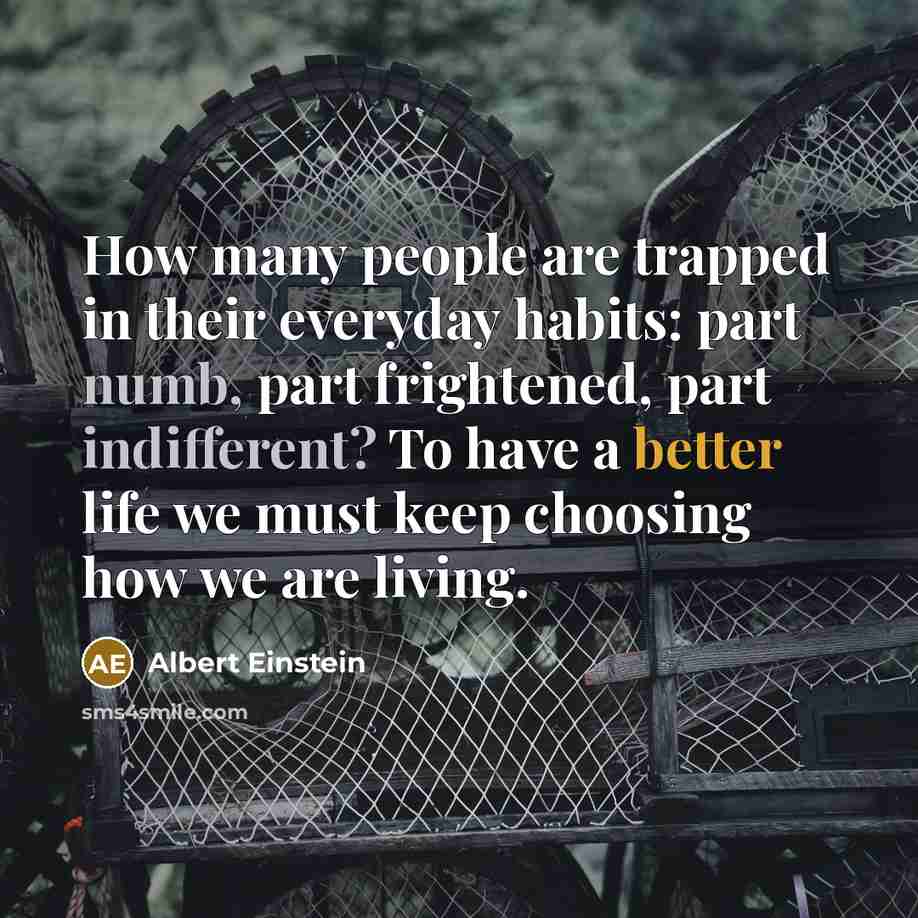 “How many people are trapped in their everyday habits: part numb, part frightened, part indifferent? To have a better life we must keep choosing how we are living.” quote by Albert Einstein