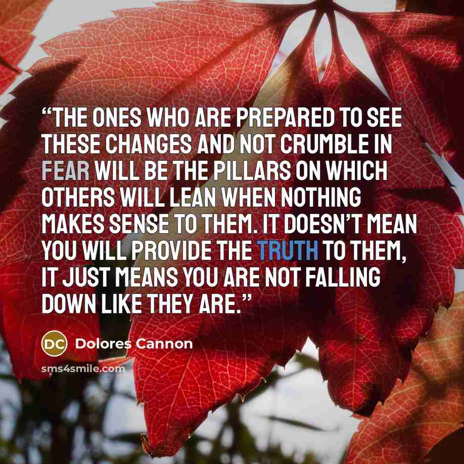 “The ones who are prepared to see these changes and not crumble in fear will be the pillars on which others will lean when nothing makes sense to them. It doesn’t mean you will provide the truth to them, it just means you are not falling down like they are.” quote by Dolores Cannon