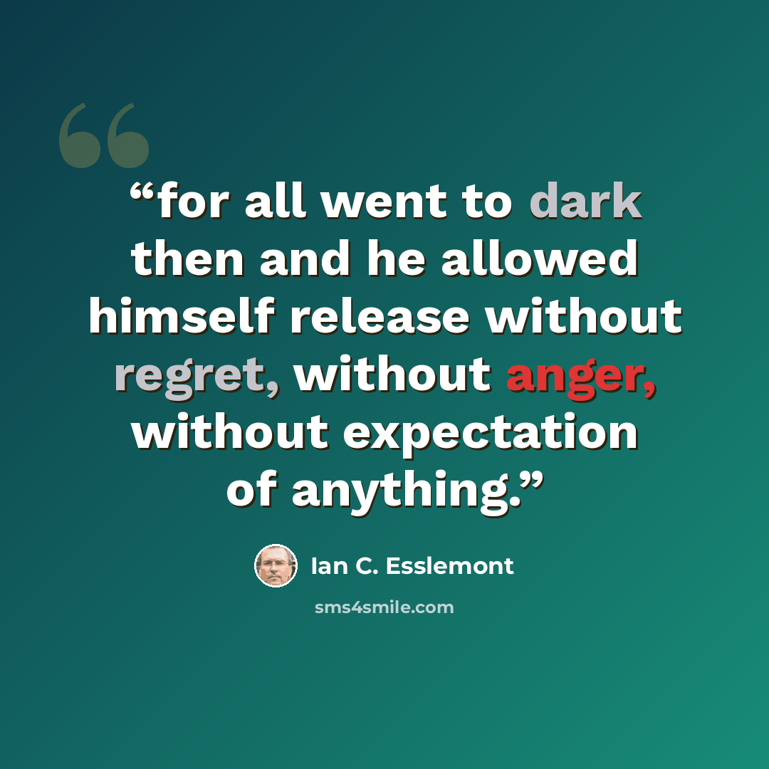 “for all went to dark then and he allowed himself release without regret, without anger, without expectation of anything.” quote by Ian C. Esslemont