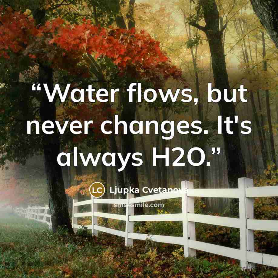 “Water flows, but never changes. It's always H2O.” quote by Ljupka Cvetanova