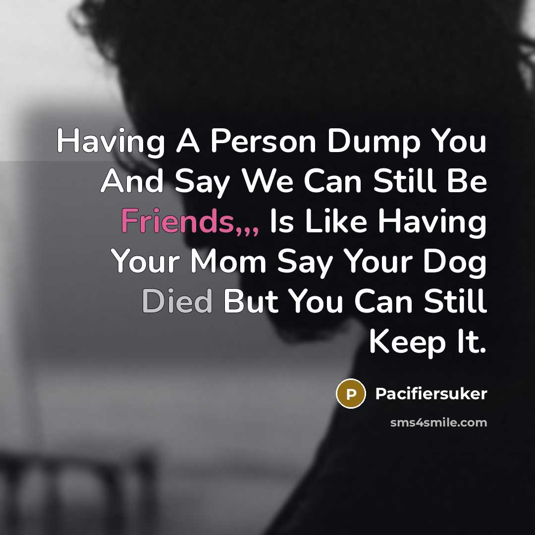 “Having A Person Dump You And Say We Can Still Be Friends,,, Is Like Having Your Mom Say Your Dog Died But You Can Still Keep It.” quote by Pacifiersuker