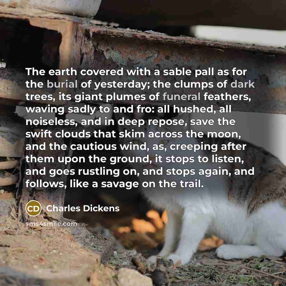“The earth covered with a sable pall as for the burial of yesterday; the clumps of dark trees, its giant plumes of funeral feathers, waving sadly to and fro: all hushed, all noiseless, and in deep repose, save the swift clouds that skim across the moon, and the cautious wind, as, creeping after…” quote by Charles Dickens