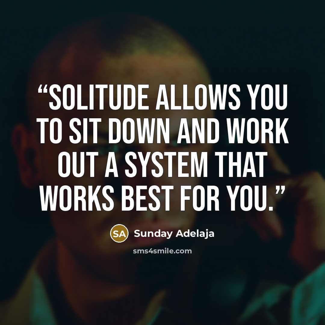 “Solitude allows you to sit down and work out a system that works best for you.” quote by Sunday Adelaja