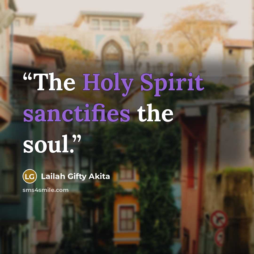 “The Holy Spirit sanctifies the soul.” quote by Lailah Gifty Akita