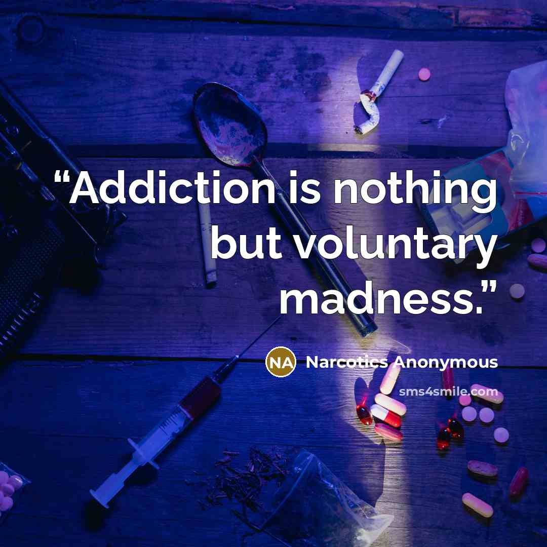 “Addiction is nothing but voluntary madness.” quote by Narcotics Anonymous