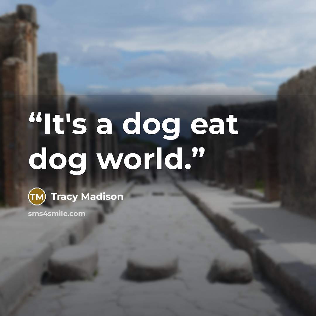 “It's a dog eat dog world.” quote by Tracy Madison