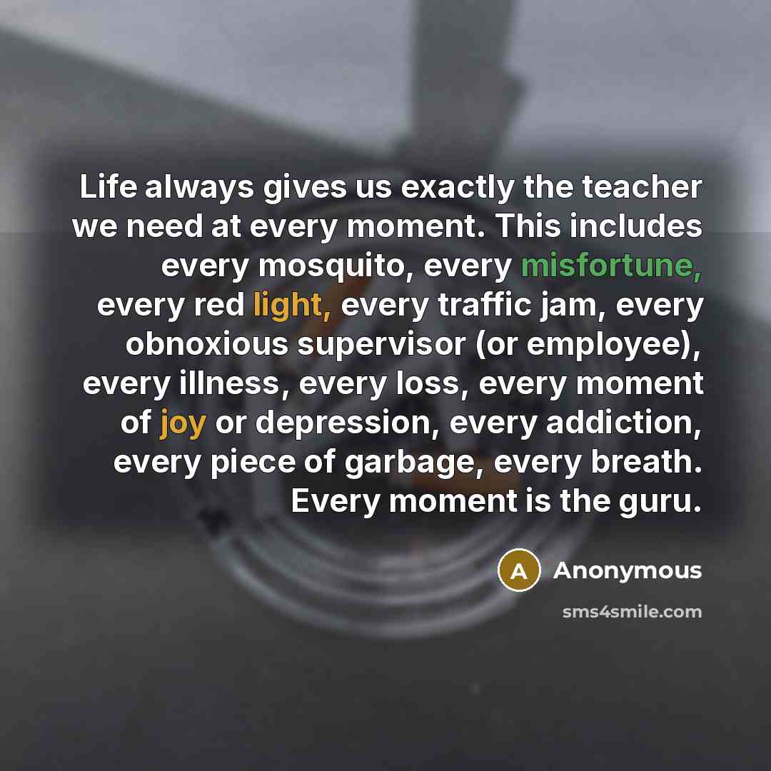 “Life always gives us exactly the teacher we need at every moment. This includes every mosquito, every misfortune, every red light, every traffic jam, every obnoxious supervisor (or employee), every illness, every loss, every moment of joy or depression, every addiction, every piece of garbage…” quote by Anonymous