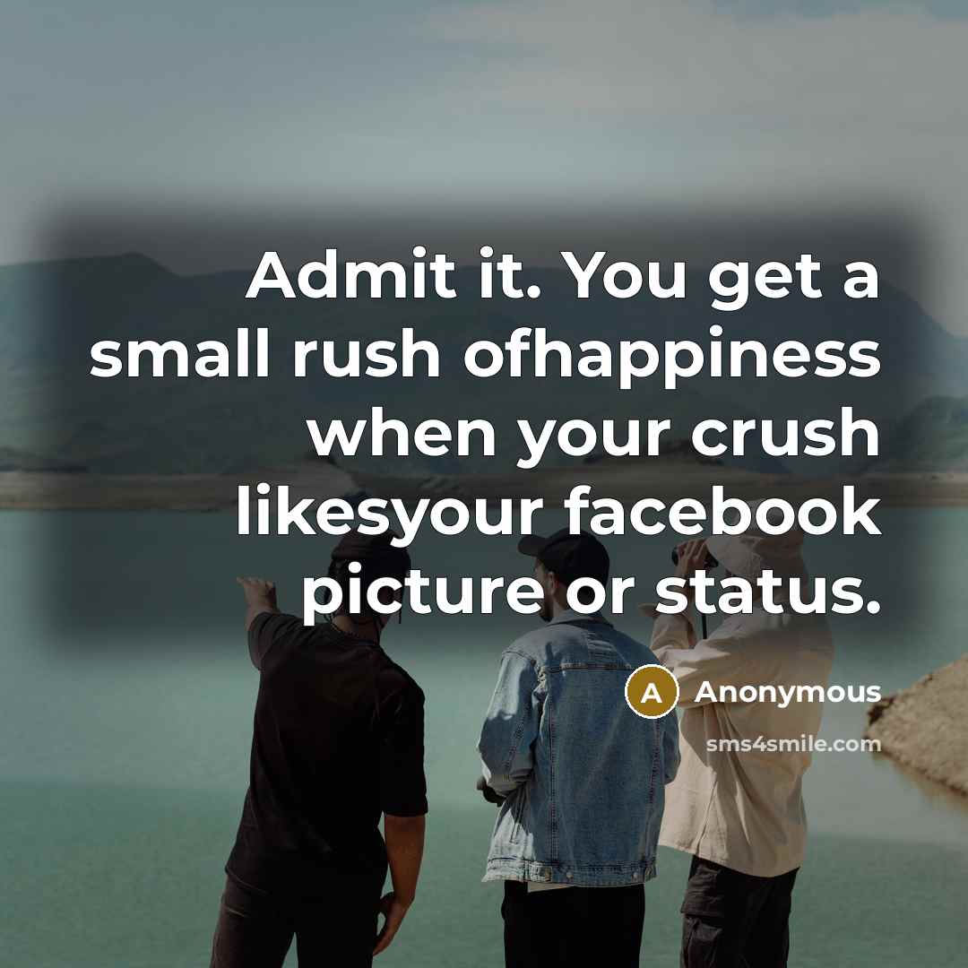 “Admit it. You get a small rush ofhappiness when your crush likesyour facebook picture or status.” quote by Anonymous