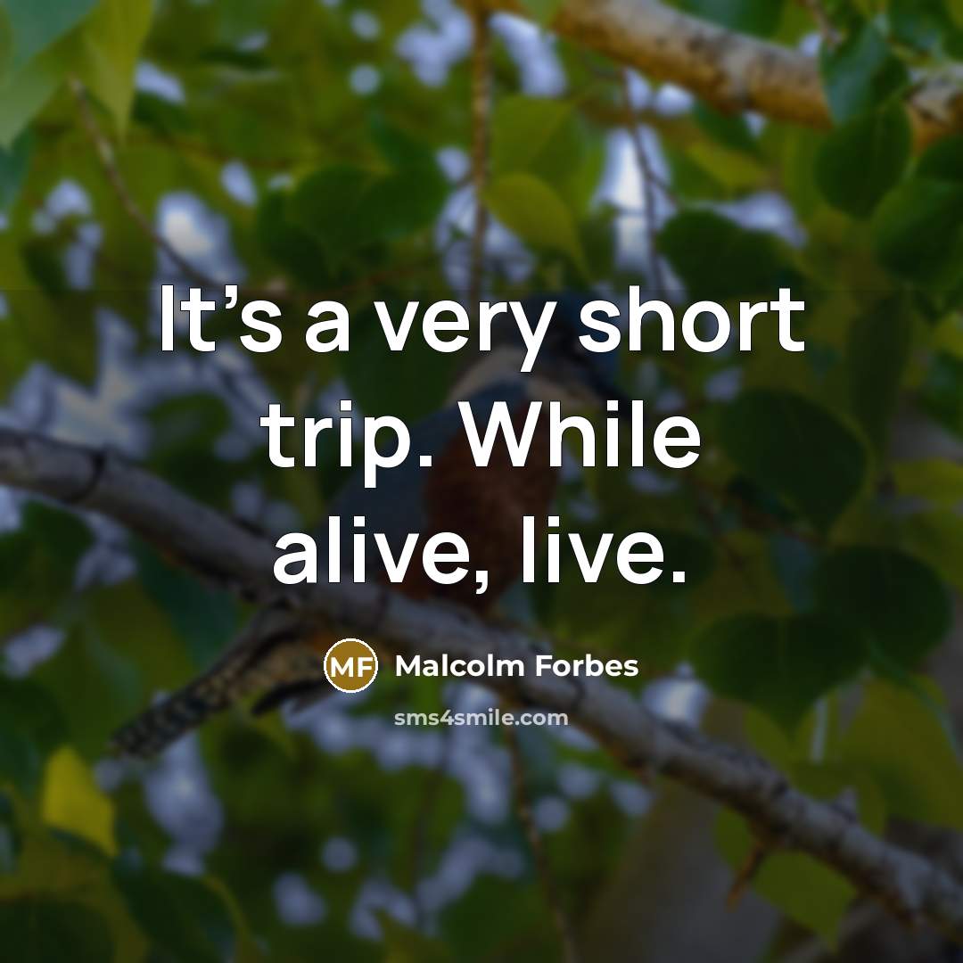 “It's a very short trip. While alive, live.” quote by Malcolm Forbes