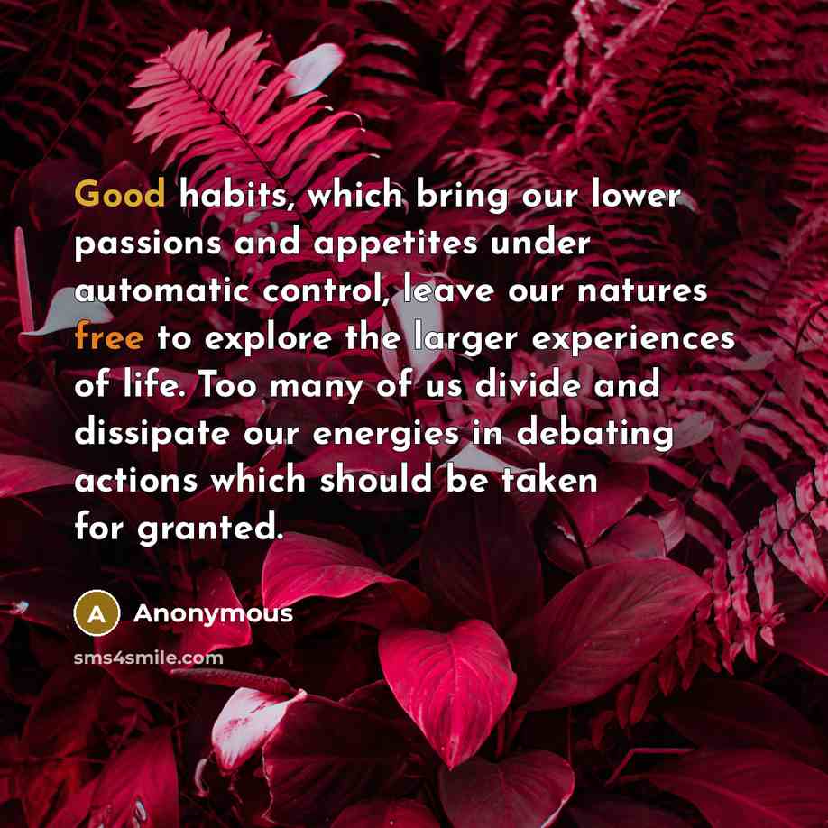 “Good habits, which bring our lower passions and appetites under automatic control, leave our natures free to explore the larger experiences of life. Too many of us divide and dissipate our energies in debating actions which should be taken for granted.” quote by Anonymous