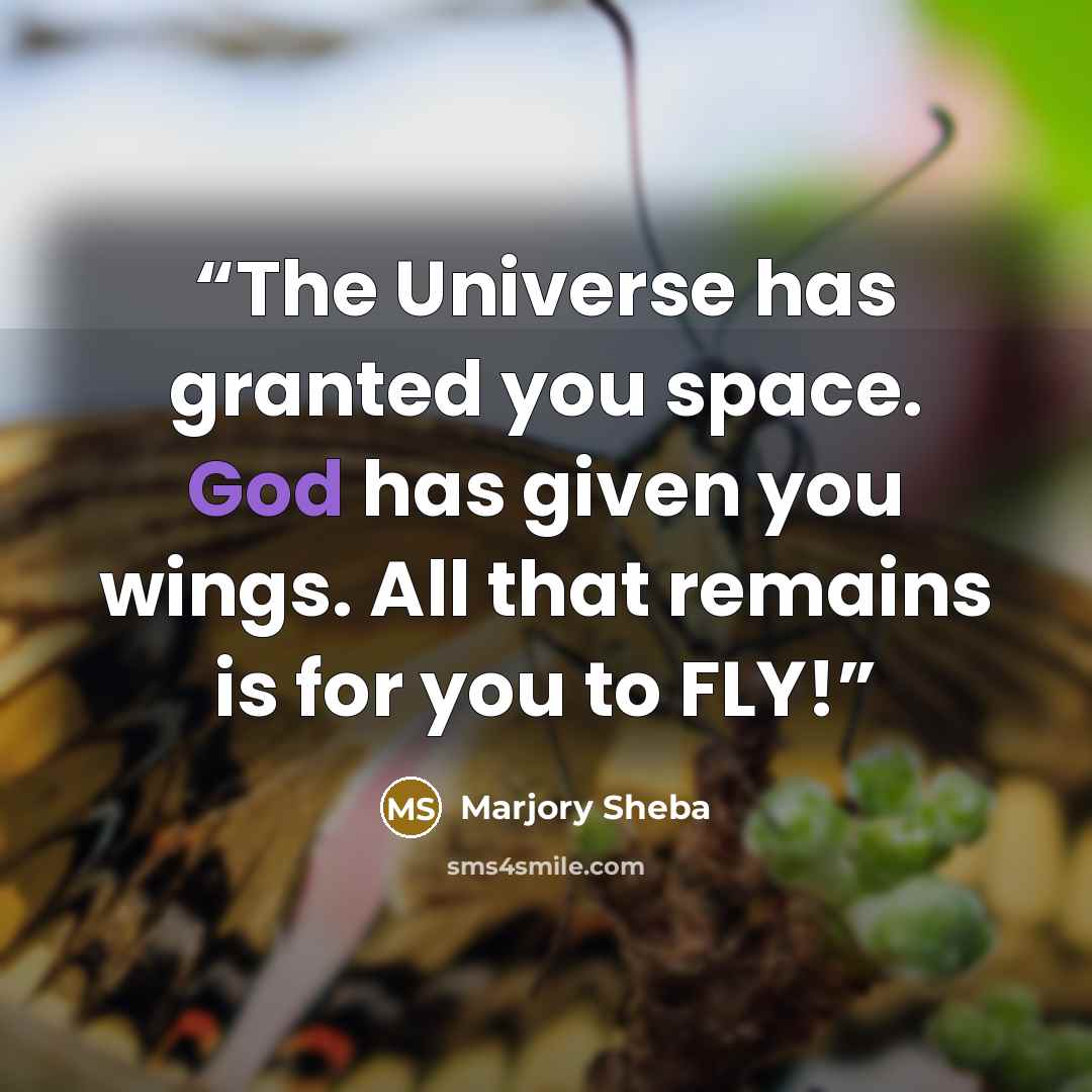 “The Universe has granted you space. God has given you wings. All that remains is for you to FLY!” quote by Marjory Sheba