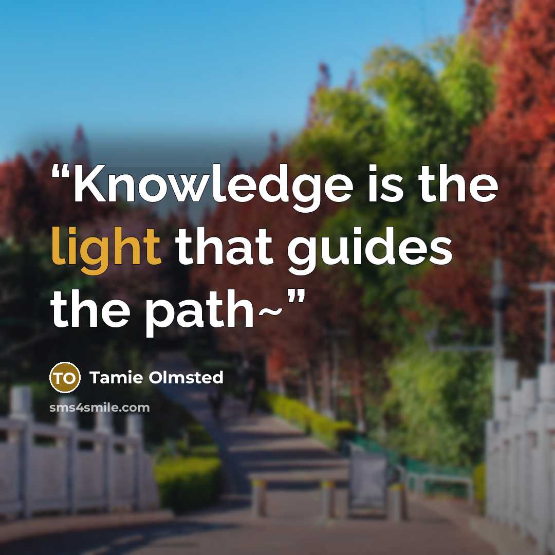 “Knowledge is the light that guides the path~” quote by Tamie Olmsted