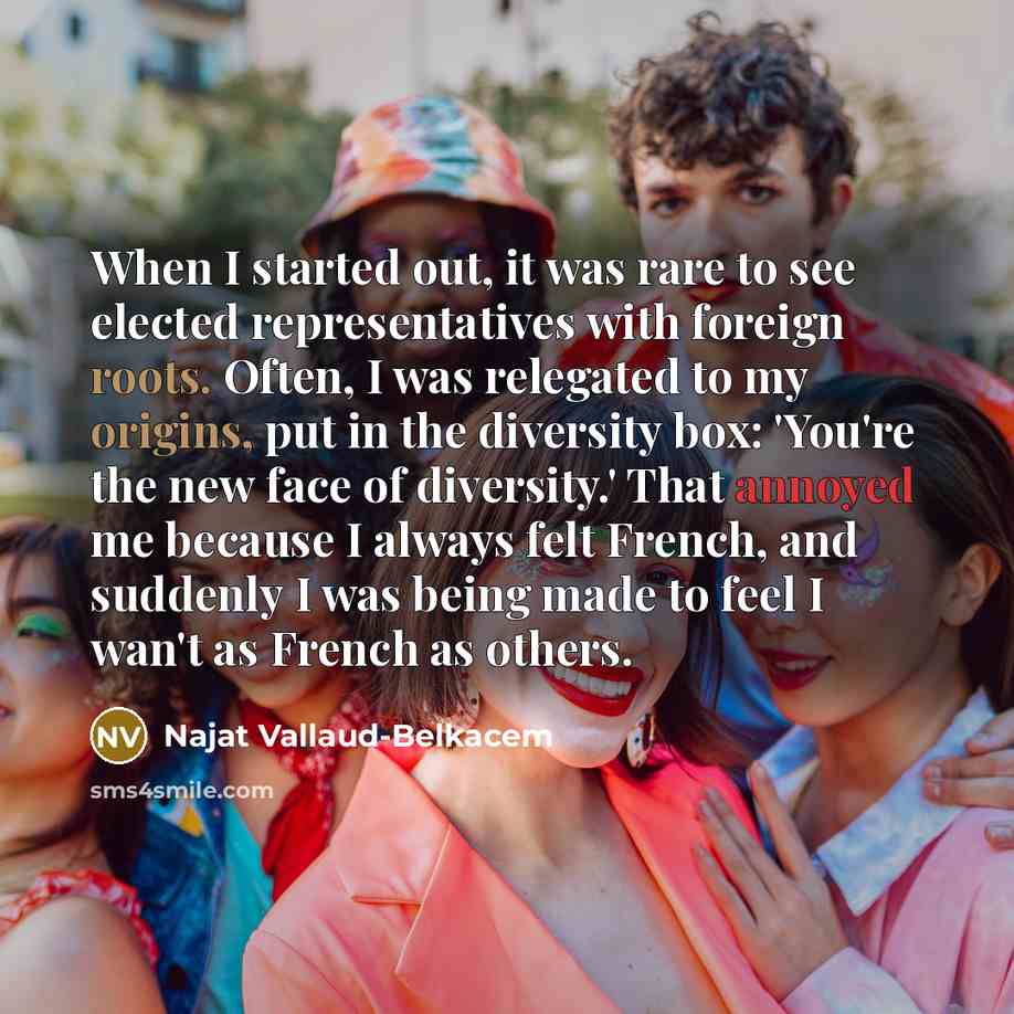 “When I started out, it was rare to see elected representatives with foreign roots. Often, I was relegated to my origins, put in the diversity box: 'You're the new face of diversity.' That annoyed me because I always felt French, and suddenly I was being made to feel I wan't as French as others.” quote by Najat Vallaud-Belkacem