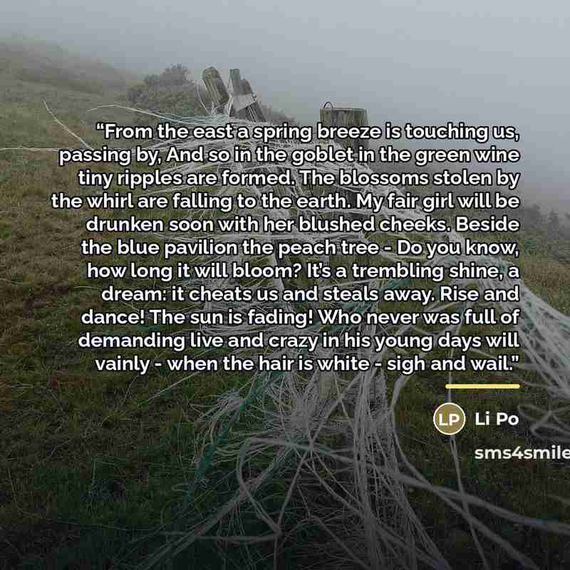 “From the east a spring breeze is touching us, passing by, And so in the goblet in the green wine tiny ripples are formed. The blossoms stolen by the whirl are falling to the earth. My fair girl will be drunken soon with her blushed cheeks. Beside the blue pavilion the peach tree - Do you know, how…” quote by Li Po