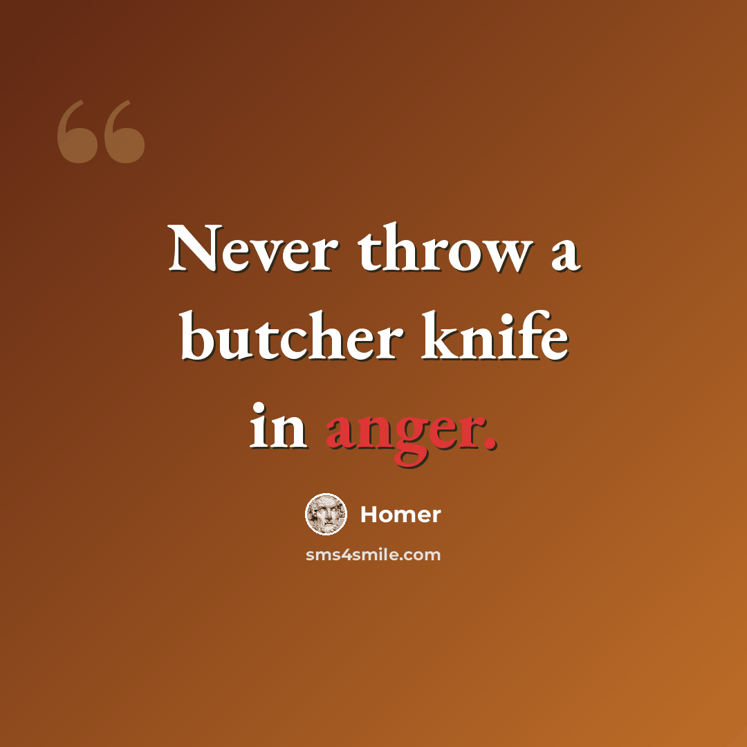 “Never throw a butcher knife in anger.” quote by Homer