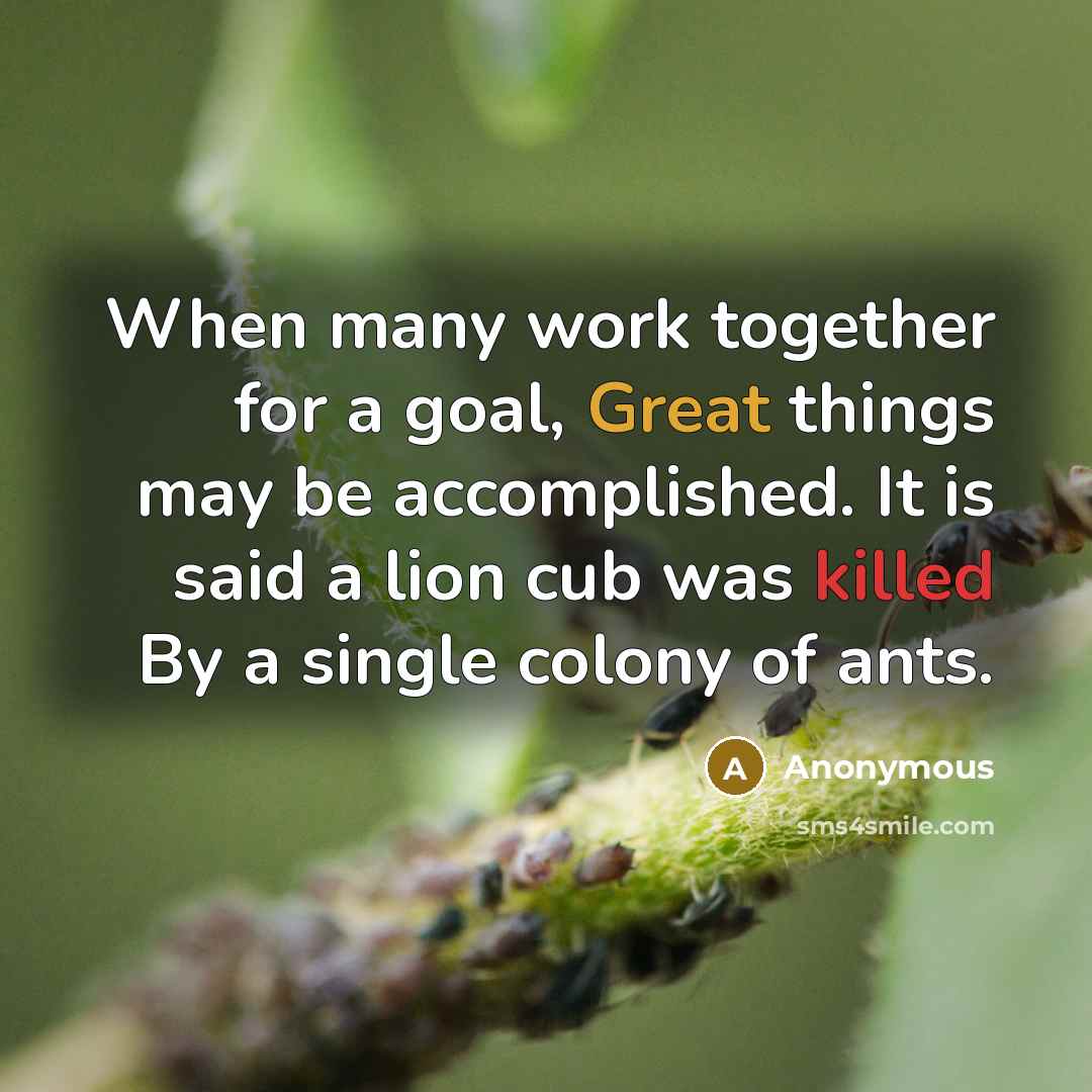 “When many work together for a goal, Great things may be accomplished. It is said a lion cub was killed By a single colony of ants.” quote by Anonymous