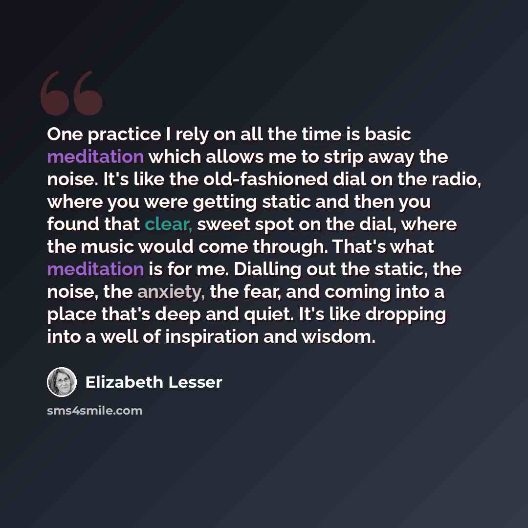 “One practice I rely on all the time is basic meditation which allows me to strip away the noise. It's like the old-fashioned dial on the radio, where you were getting static and then you found that clear, sweet spot on the dial, where the music would come through. That's what meditation is for me…” quote by Elizabeth Lesser