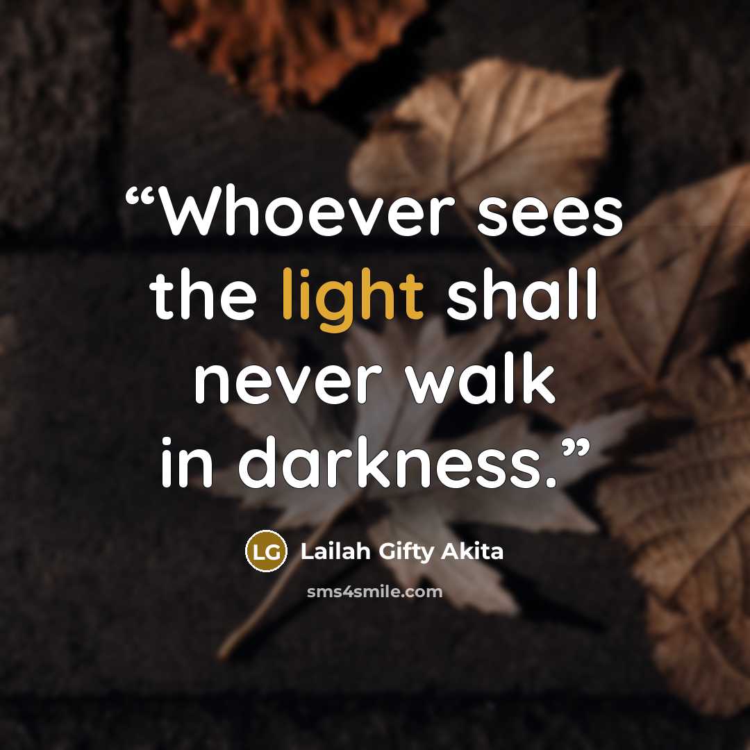 “Whoever sees the light shall never walk in darkness.” quote by Lailah Gifty Akita
