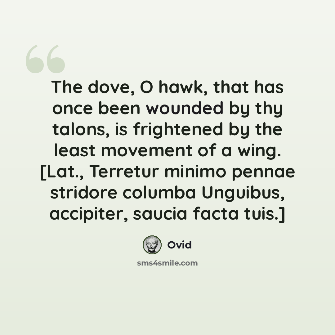 “The dove, O hawk, that has once been wounded by thy talons, is frightened by the least movement of a wing. [Lat., Terretur minimo pennae stridore columba Unguibus, accipiter, saucia facta tuis.]” quote by Ovid