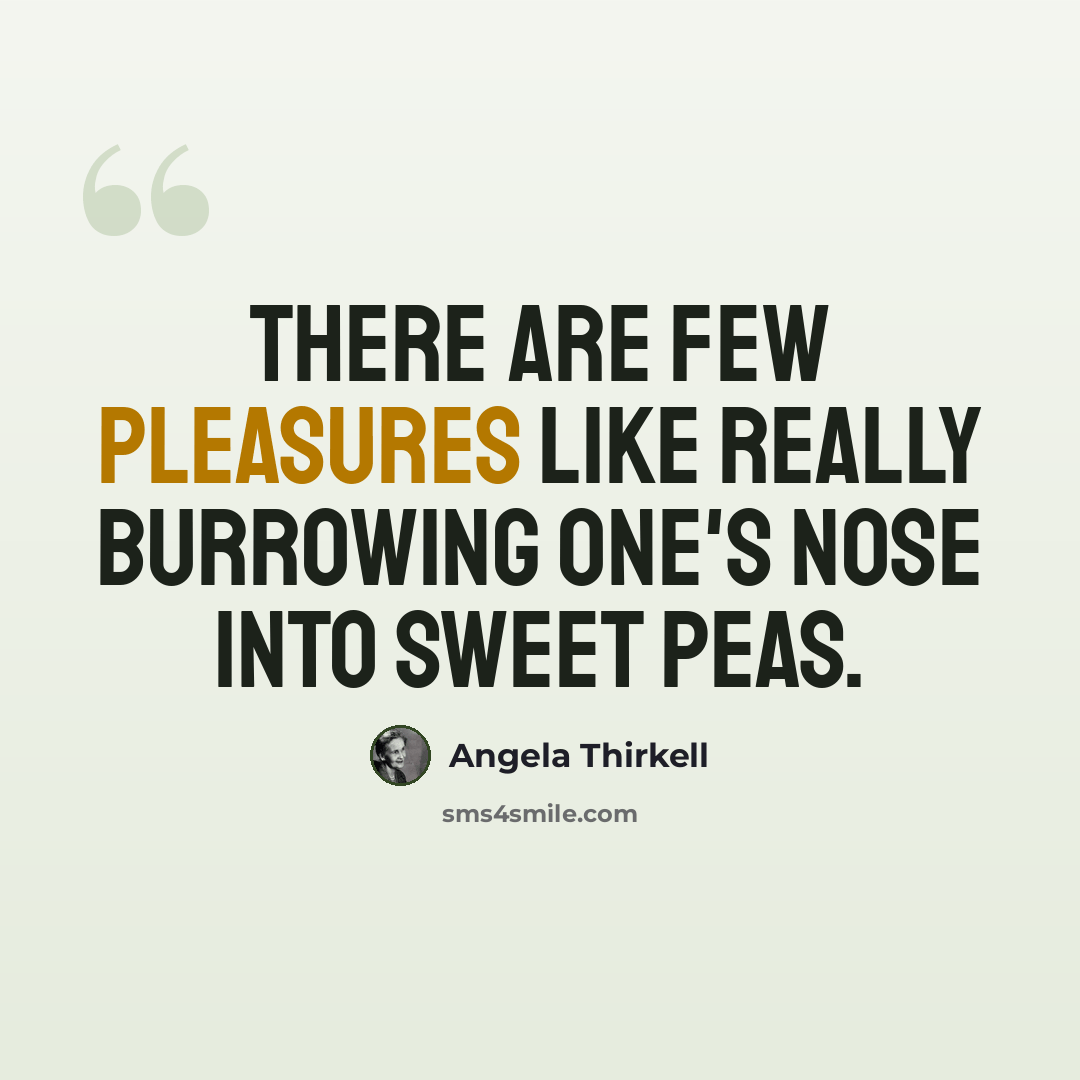 “There are few pleasures like really burrowing one's nose into sweet peas.” quote by Angela Thirkell