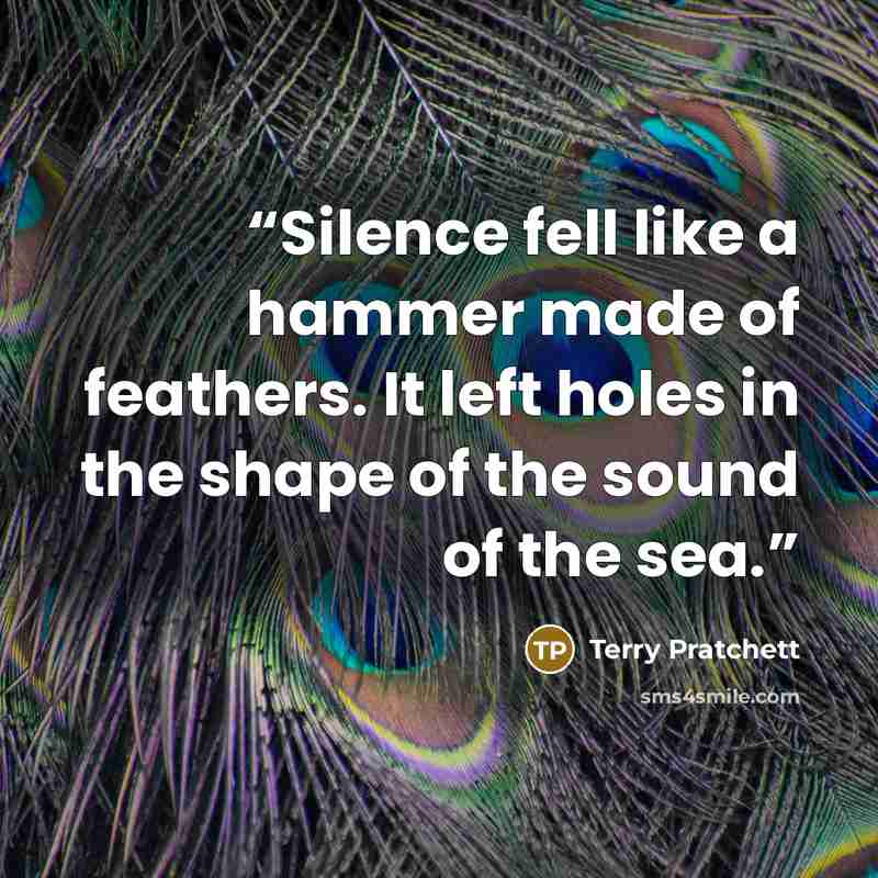 “Silence fell like a hammer made of feathers. It left holes in the shape of the sound of the sea.” quote by Terry Pratchett