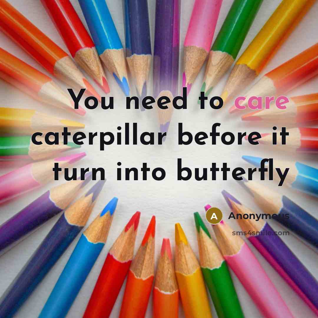“You need to care caterpillar before it turn into butterfly” quote by Anonymous