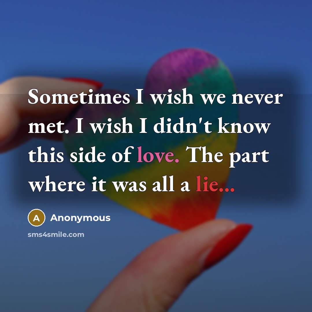 “Sometimes I wish we never met. I wish I didn't know this side of love. The part where it was all a lie...” quote by Anonymous