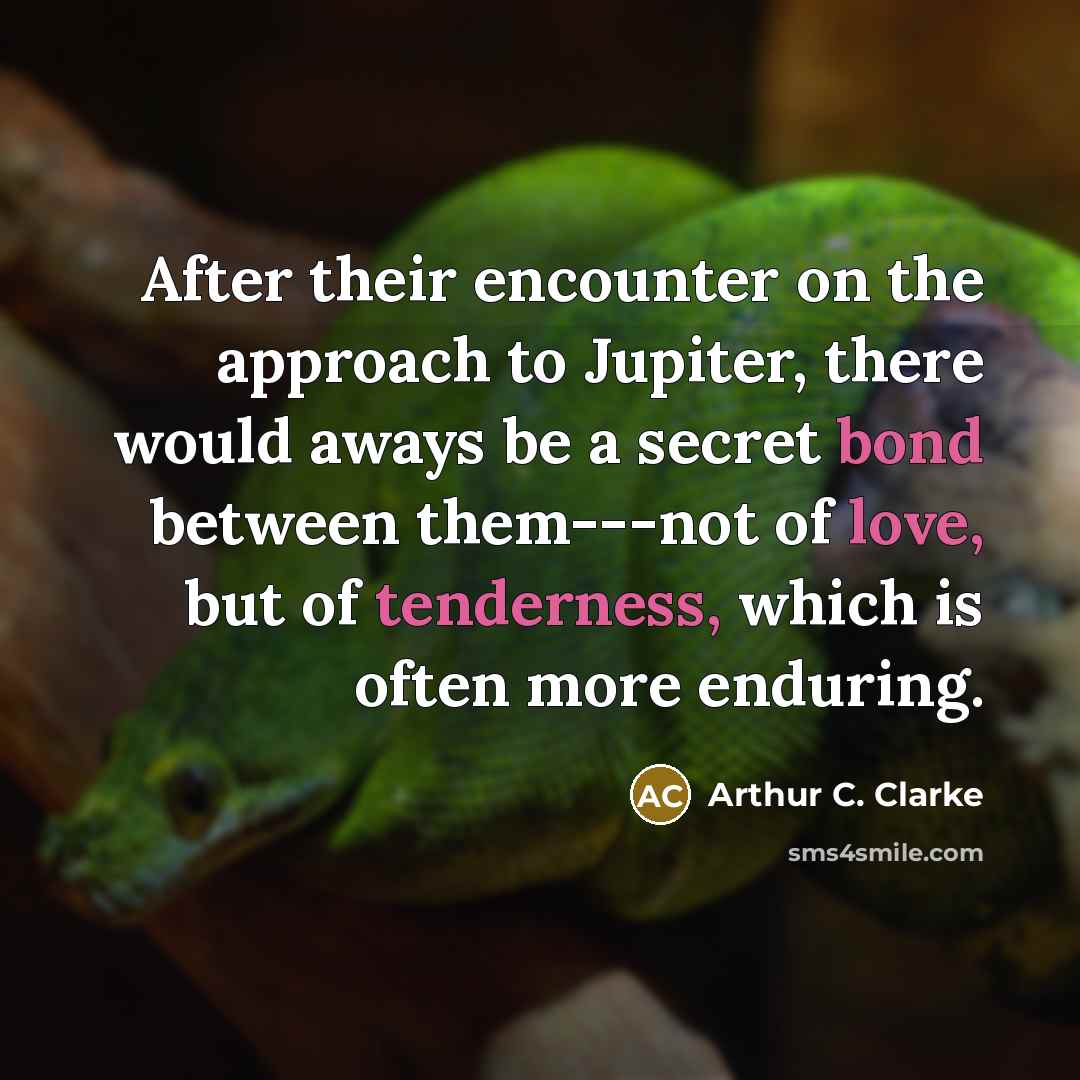 “After their encounter on the approach to Jupiter, there would aways be a secret bond between them---not of love, but of tenderness, which is often more enduring.” quote by Arthur C. Clarke