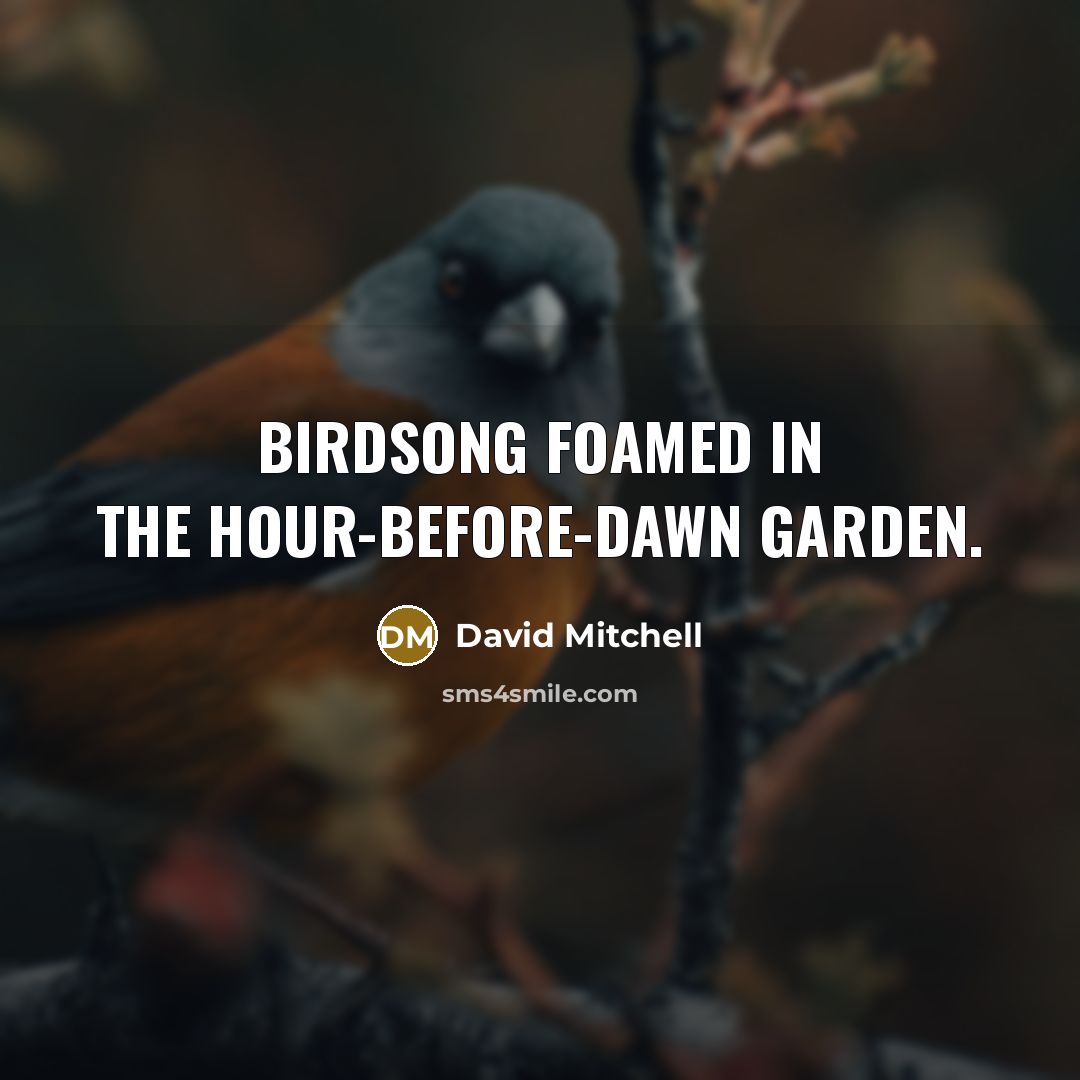 “Birdsong foamed in the hour-before-dawn garden.” quote by David Mitchell